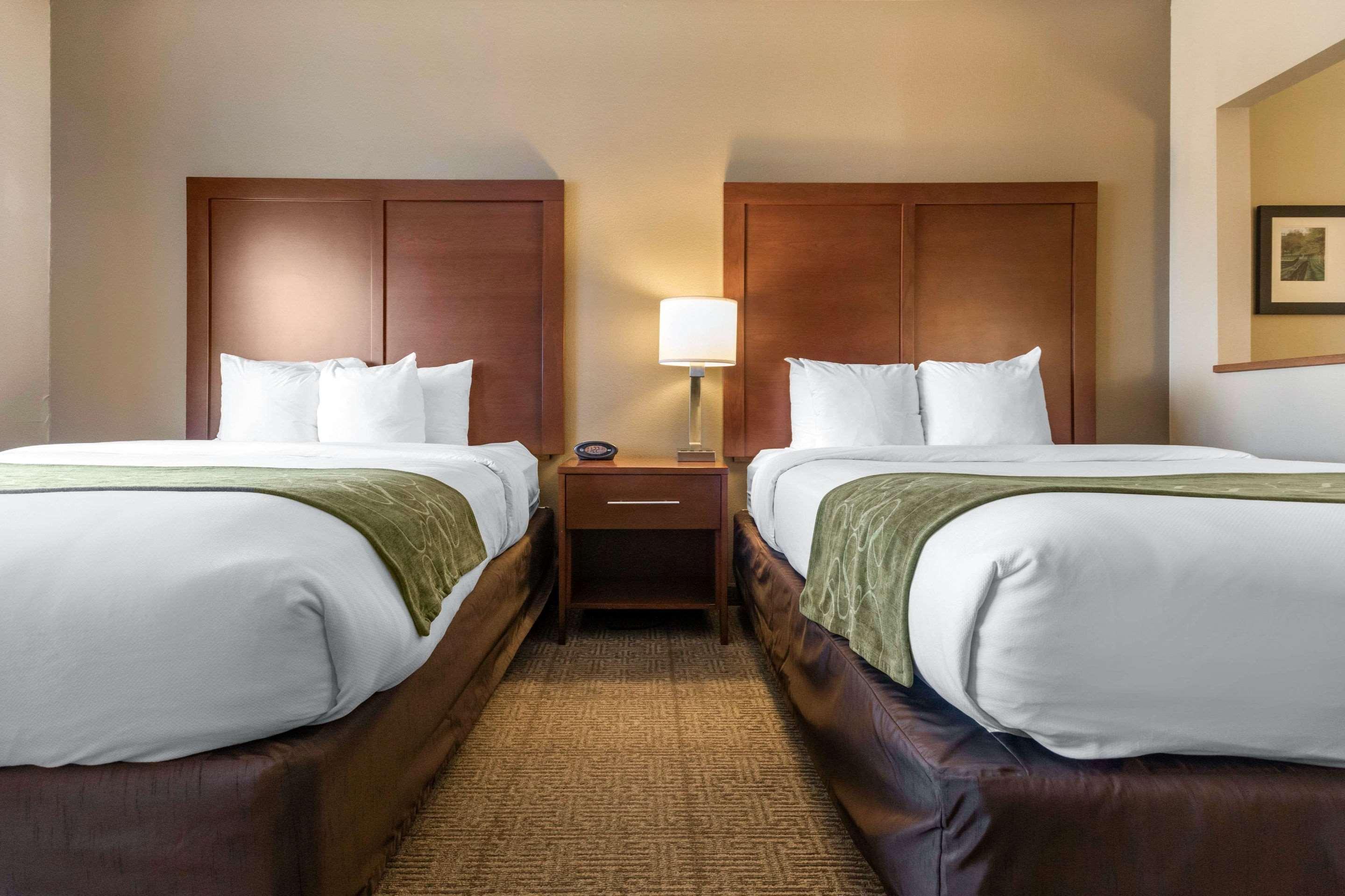 Comfort Suites Keeneland Lexington Exteriör bild